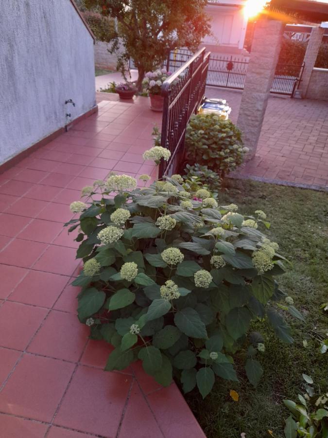 Villa Iva Poreč Eksteriør bilde